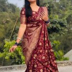 জাপানি সিল্কের শাড়ি ব্লাউজ