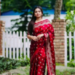 জাপানি সিল্ক শাড়ি ব্লাউজ