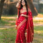 জাপানি সিল্কের শাড়ি ব্লাউজ