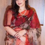 চান্দুরি সিল্ক শাড়ি ব্লাউজ