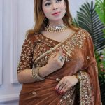 ইন্ডিয়ান জিমিচু ফেব্রিক্সের এমব্রয়ডারি জমকালো শাড়ি