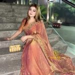 ইন্ডিয়ান জিমিচু ফেব্রিক্সের এমব্রয়ডারি জমকালো শাড়ি
