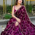 ইন্ডিয়ান জিমিচু ফেব্রিক্সের এমব্রয়ডারি জমকালো শাড়ি