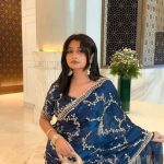 ইন্ডিয়ান জিমিচু ফেব্রিক্সের এমব্রয়ডারি জমকালো শাড়ি