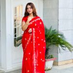 pure indian soft jorget embroidery saree with readymade blouse piece.