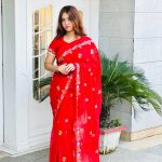 pure indian soft jorget embroidery saree with readymade blouse piece.