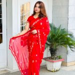pure indian soft jorget embroidery saree with readymade blouse piece.
